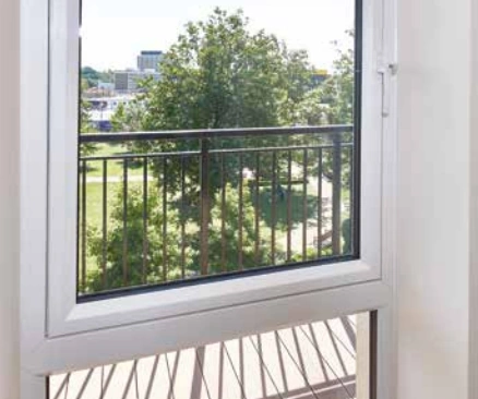 Window 11