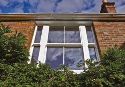 Window 18